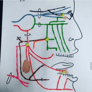 metodologia de ensino eom