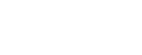Logotipo Navis Lumen Branco